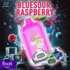 Bluesour Raspberry RandM Digital Box 12000