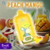Peach Mango RandM Digital Box 12000