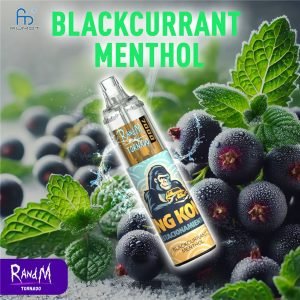 Blackcurrant Menthol RandM Tornado Vape 7000