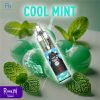 Cool Mint RandM Tornado Vape 7000