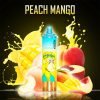 peach mango randm tornado 15000 vape