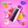 Peach Mango Watermelon Vozol STAR 20000