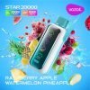 Raspberry Apple Watermelon Pineapple Vozol STAR 20000